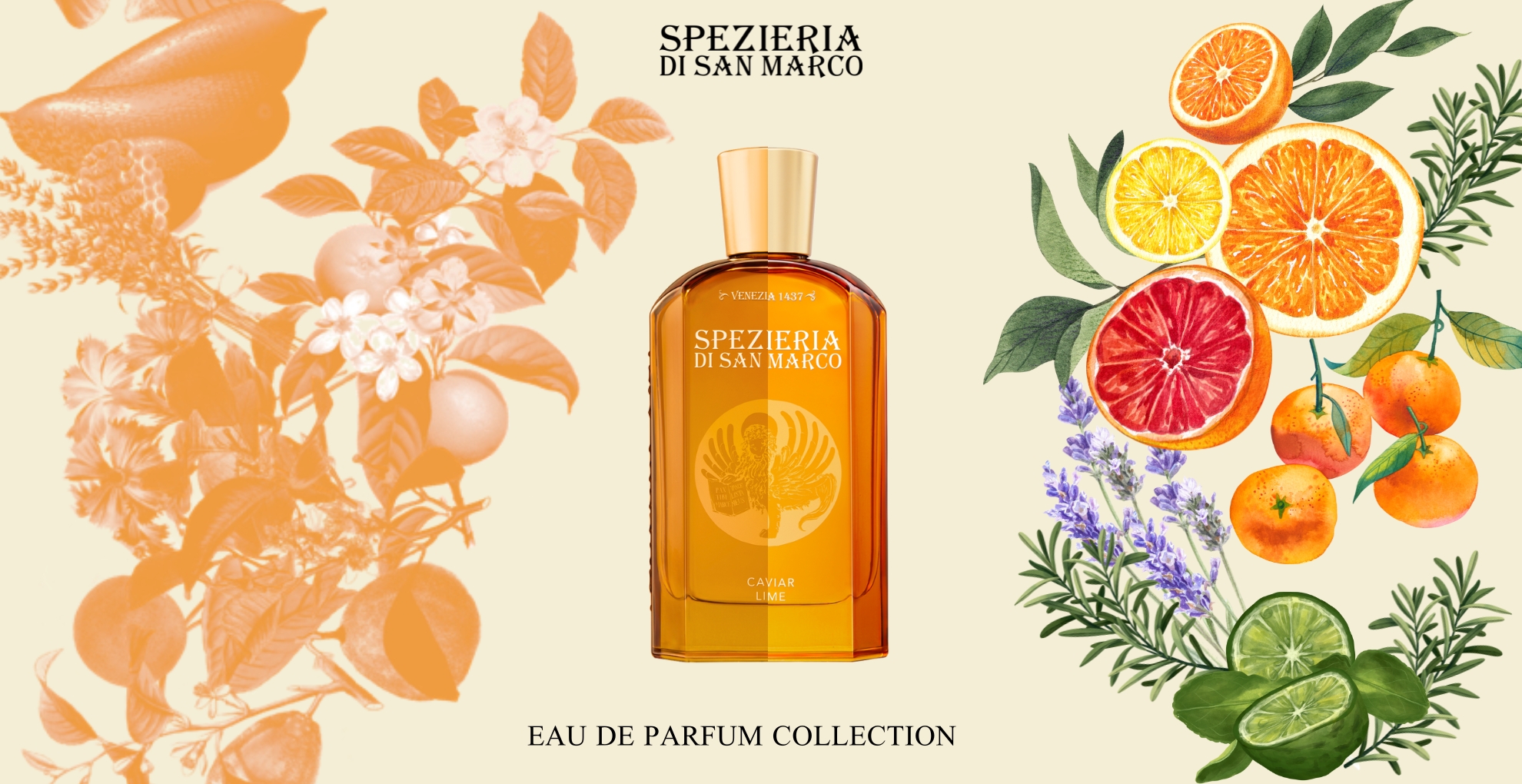 eau de parfum orange