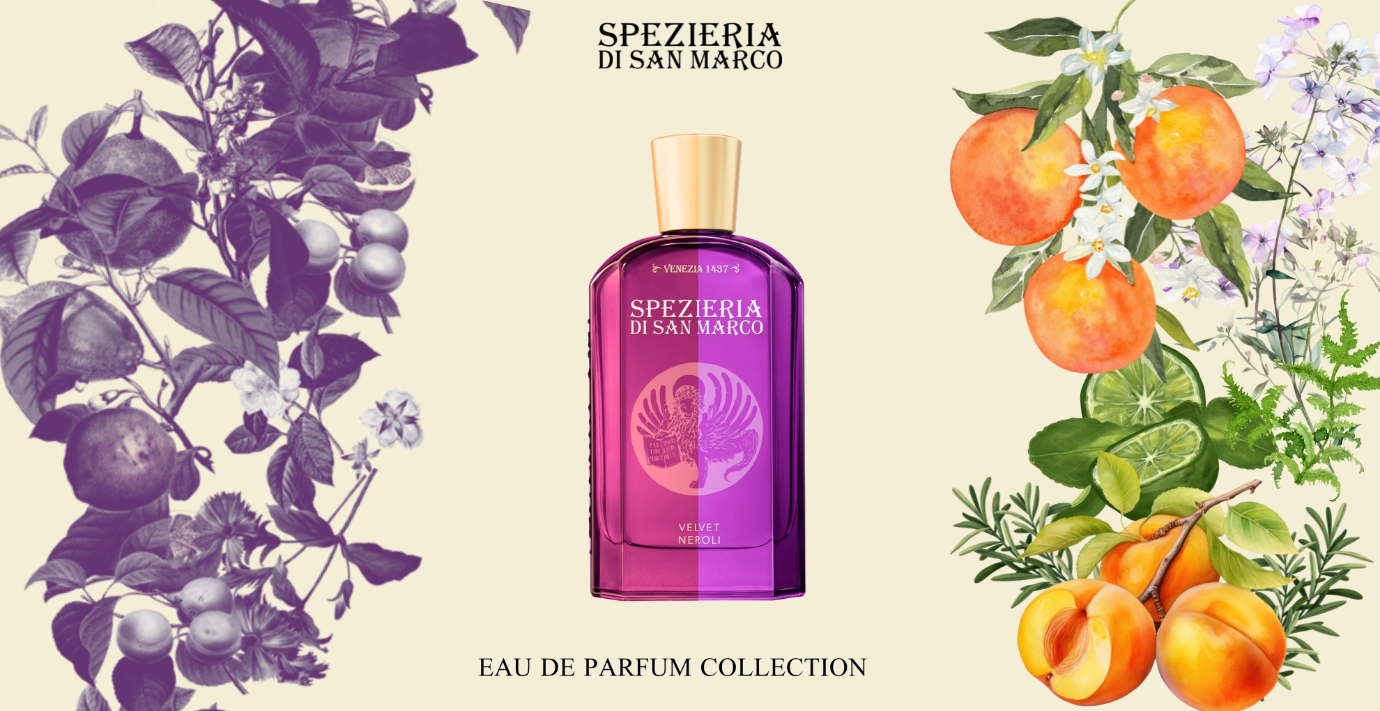eau de parfum purple